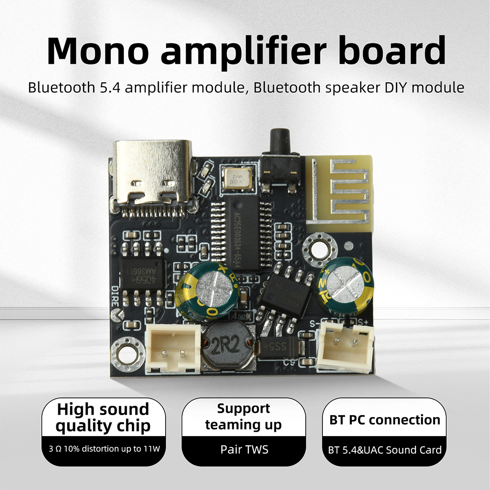 BPM13 Plus 6.2W Mono Class D A - Audio Music Free Mp3 评论和价格