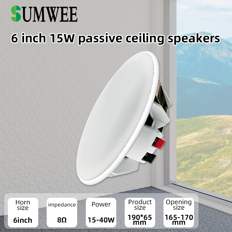 6 Inch 8ohm Ceiling Speaker Fu - Audio Music Background Free 评论和价格