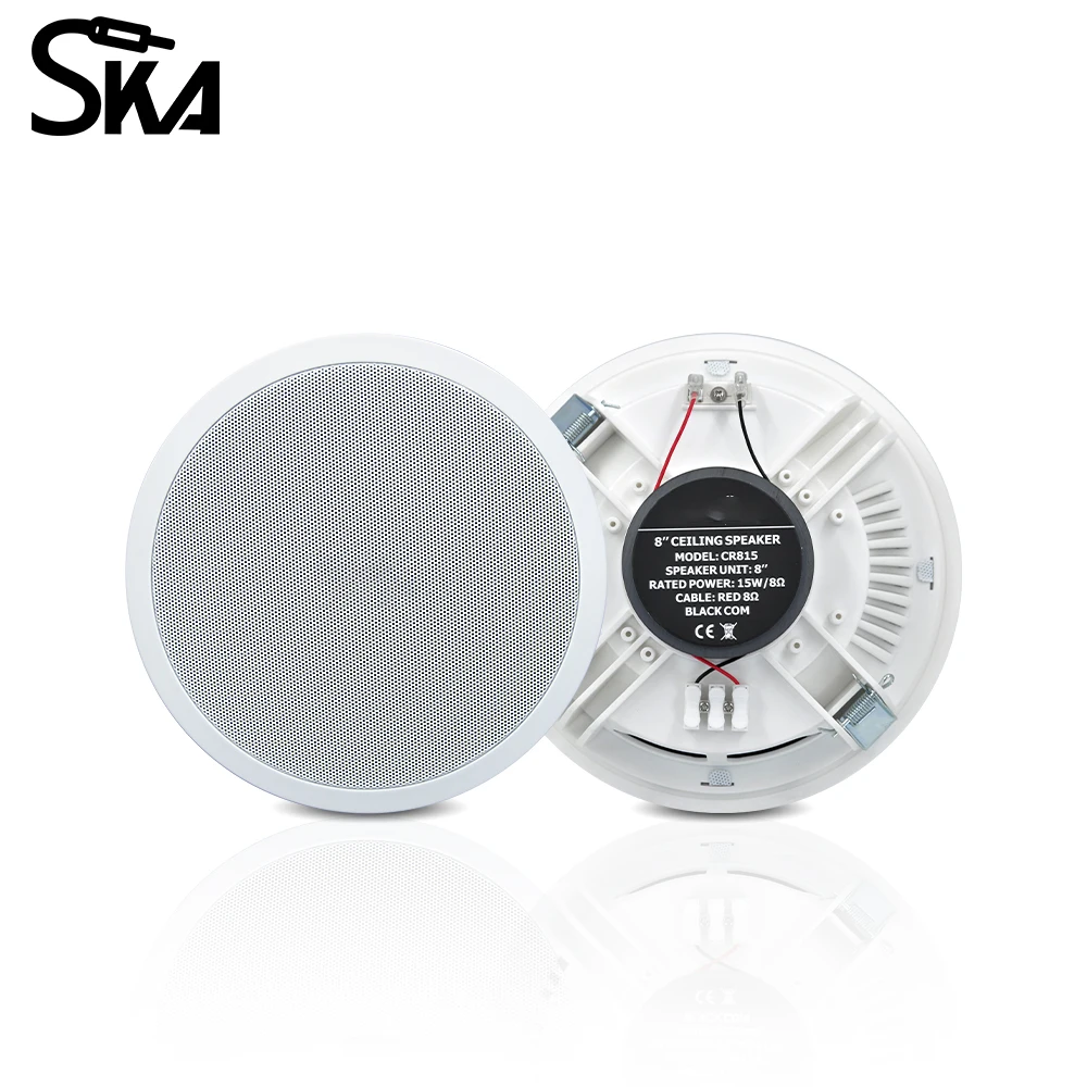 PW4420T+CR815 Smart Home Audio - Audio Music Background Free 评论和价格