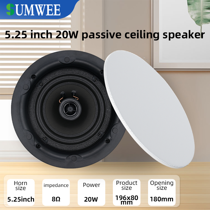 5.25 inch 8 ohm ceiling speake - Audio Music Background Free 评论和价格