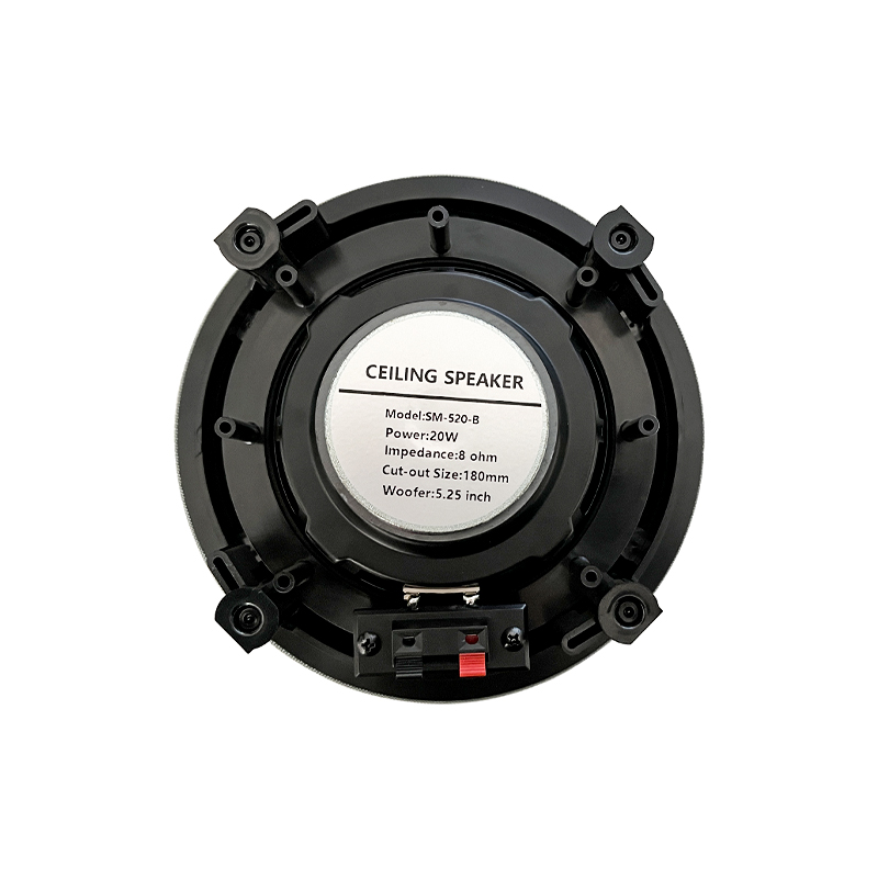 5.25 inch 8 ohm ceiling speake - Audio Music Background Free 评论和价格