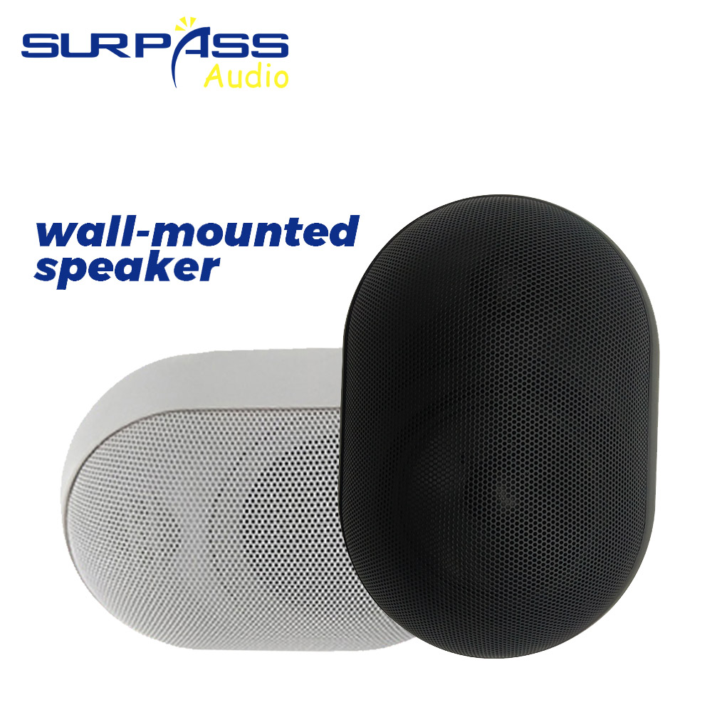 30W Wall-mounted Speaker Water - Audio Music Background Free 评论和价格