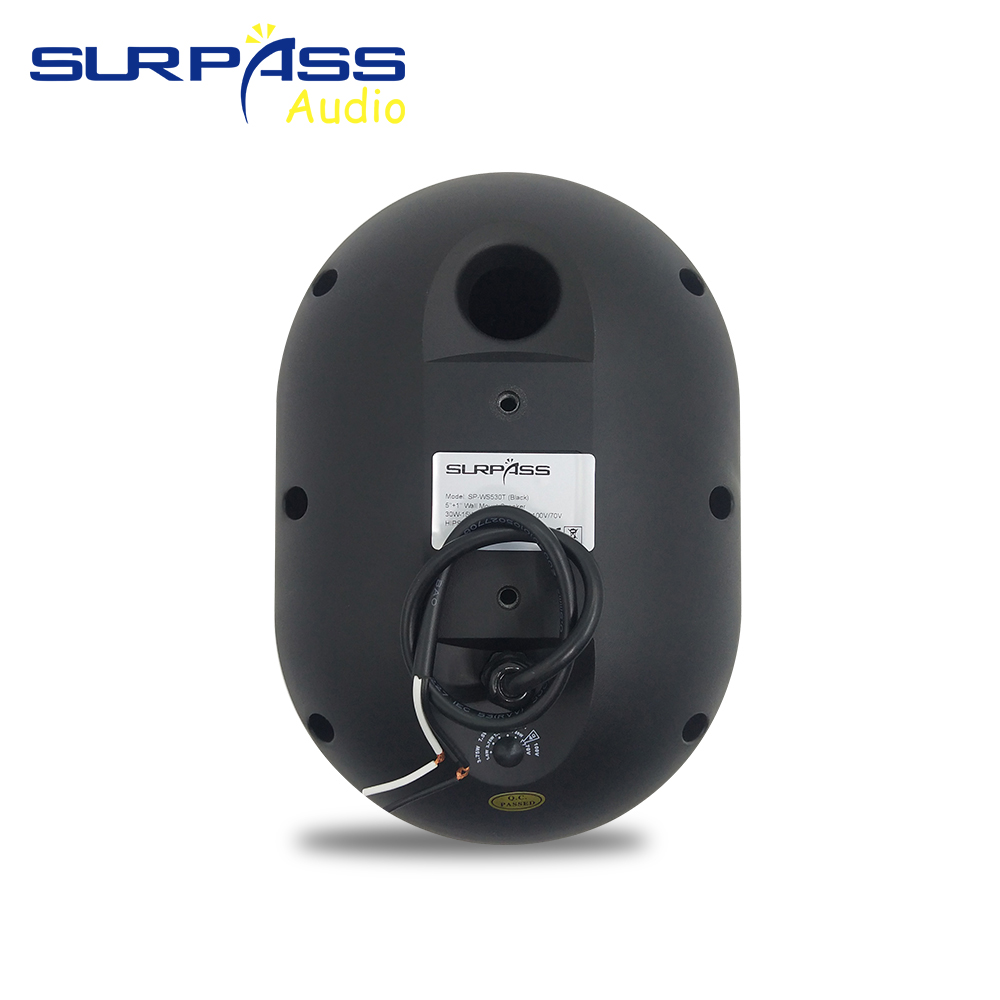 30W Wall-mounted Speaker Water - Audio Music Background Free 评论和价格