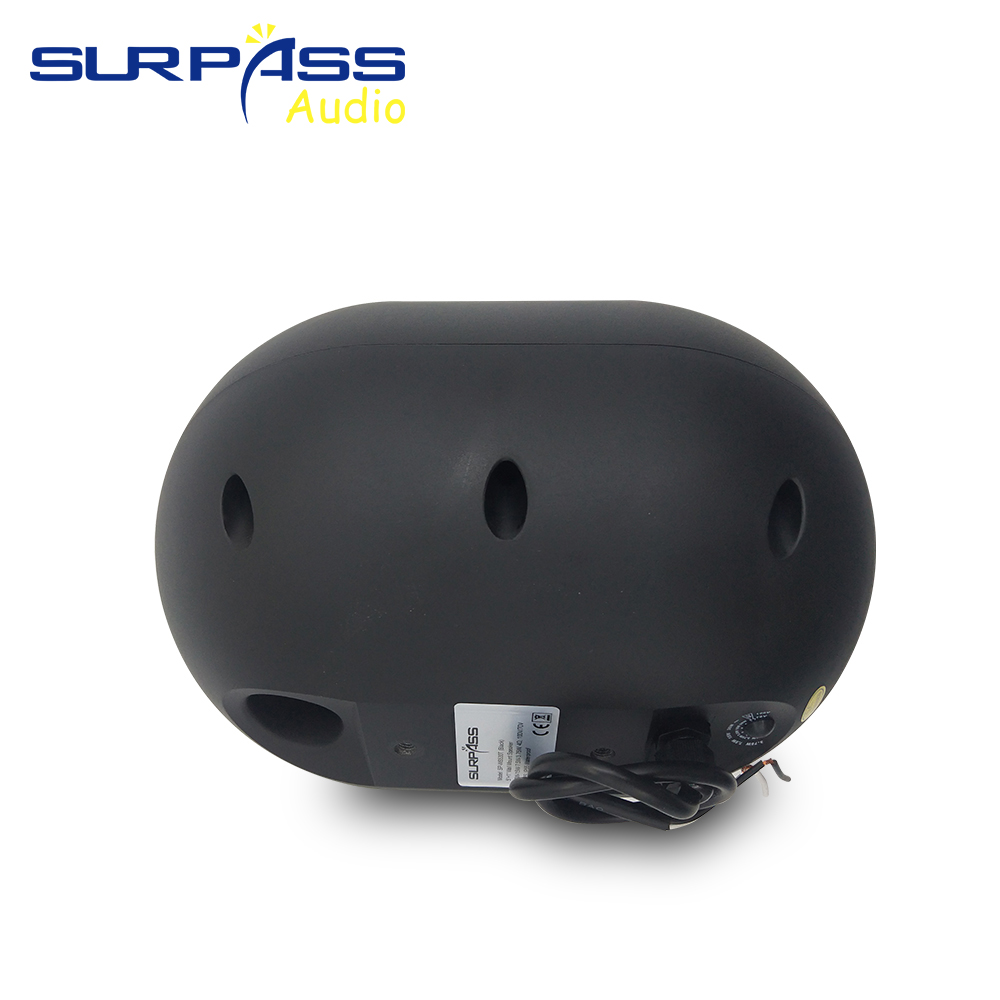 30W Wall-mounted Speaker Water - Audio Music Background Free 评论和价格