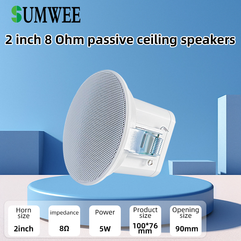 2Inch mini 8 ohm Ceiling Speak - Audio Music Background Free 评论和价格